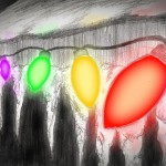 Christmas lights, by David Milano